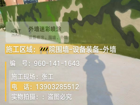 南开 迷彩漆喷涂价格（按平方米计费）